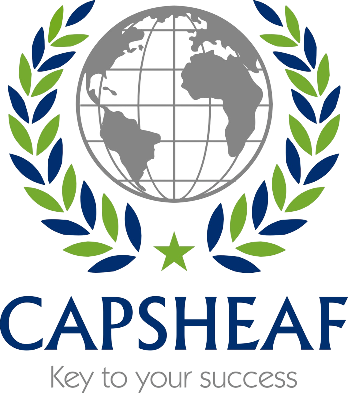 Capsheaf - Business Transformation & Technology Solutions Partner